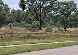 Pedestrian entry to Mulligans Flat