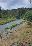 Perkins Flat Campground