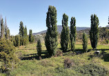 Tharwa Bridge