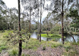 Tidbinbilla Sanctuary