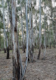 Tidbinbilla Sanctuary