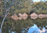 Tidbinbilla Sanctuary