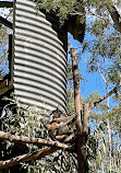 Tidbinbilla Sanctuary