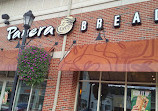 Panera Bread