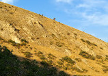 Bingham Creek Trailhead