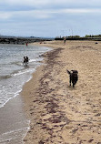 Elwood Beach Dog Off Leash Area