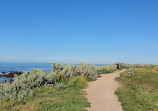 Williamstown Beach