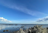 Williamstown Beach