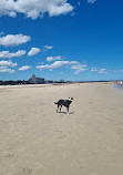 St Kilda West Beach