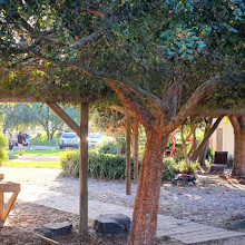 Bicentennial Park Playground