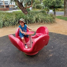 Bicentennial Park Playground