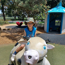 Bicentennial Park Playground