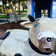 Bicentennial Park Playground