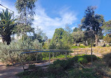 Cheltenham Park