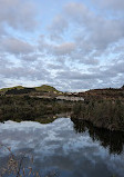 Maungarei Springs Wetlands