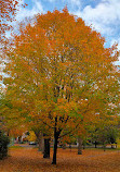 Mount Royal Cemetery