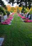 Mount Royal Cemetery