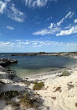 SeaLink Rottnest Island