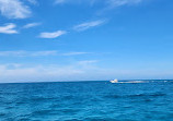 SeaLink Rottnest Island