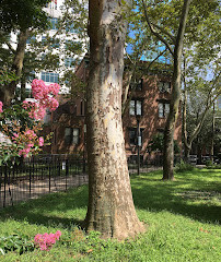 Paulus Hook Park