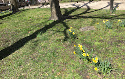 Paulus Hook Park