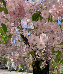 Paulus Hook Park