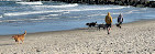 Asbury Park Boardwalk and Beach