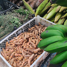 Cartago Municipal Market