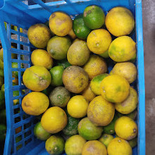 Cartago Municipal Market