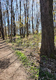 Kanyoo Nature Trail