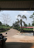 Thisara Tea Factory