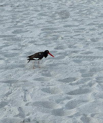 As margens de Atlantic Beach