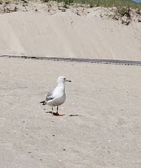 As margens de Atlantic Beach