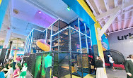 Urban Air Trampoline and Adventure Park