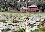 Sabah State Museum