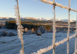 Highland Wildlife Park