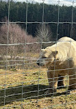 Highland Wildlife Park