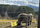 Highland Wildlife Park