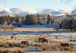 Highland Wildlife Park