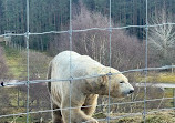 Highland Wildlife Park