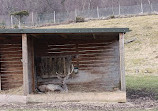 Highland Wildlife Park