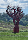 Sculpture Fields at Montague Park