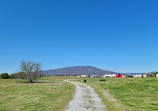 Sculpture Fields at Montague Park