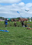 Sculpture Fields at Montague Park