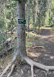 Valley of the Five Lakes Trail