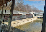 Crystal Bridges Museum of American Art