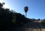 Santa Ana Mountains Trail Head