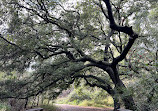 Oak Canyon Nature Center