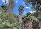 Oak Canyon Nature Center