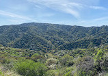 Canyonback Trail